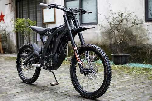 Moped Electric bike
